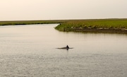 The 6-foot, bottlenose dolphin in Riggins Ditch off the Delaware Bay in Cumberland County, N.J. The Marine Mammal Stranding Center of Brigantine coordinated a rescue of the dolphin on June 12, 2025.
