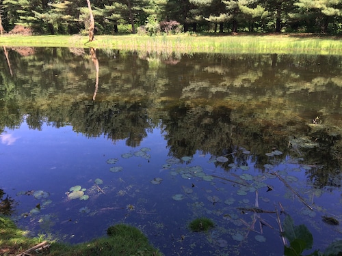 The single greatest thing about every North Jersey town