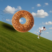 Bagels are inescapable in New Jersey. Literally.