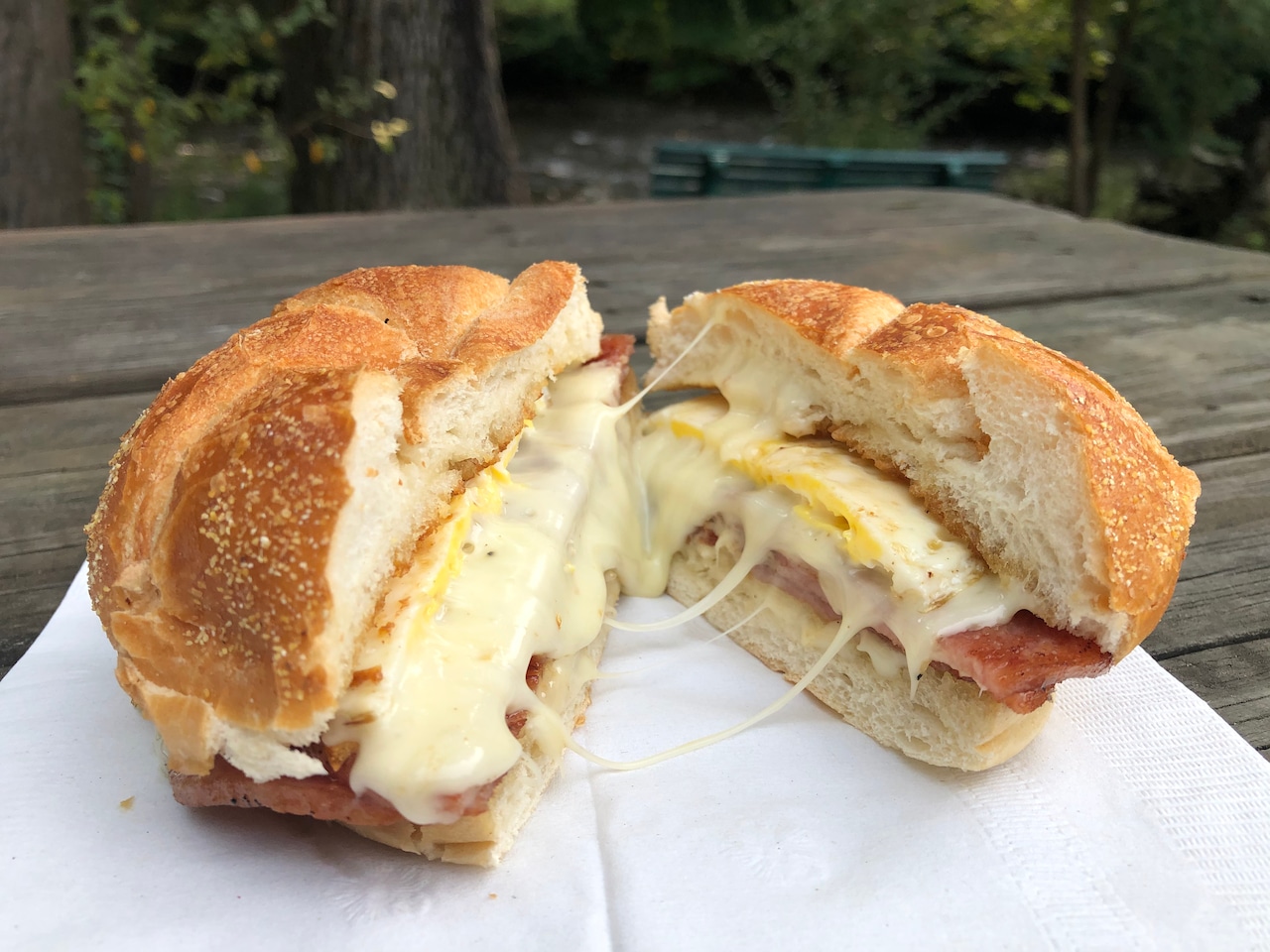N.J.’s 37 best pork roll and Taylor ham sandwiches